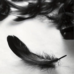 100pcs Goose Feathers 15-32cm for Halloween Party Decor