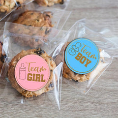 48pcs Gender Reveal Party Stickers Boys Girls Birthday Celebrations