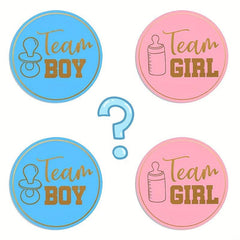 48pcs Gender Reveal Party Stickers Boys Girls Birthday Celebrations