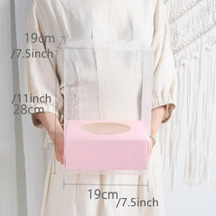 Panoramic Rose Preserved Flower in Square Transparent Packaging