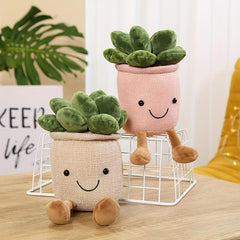 Smiling Face Succulent Plant Dolls Home Office Ornaments