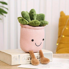 Smiling Face Succulent Plant Dolls Home Office Ornaments