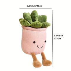 Smiling Face Succulent Plant Dolls Home Office Ornaments