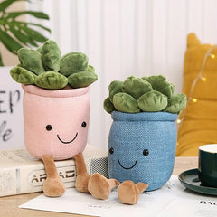 Smiling Face Succulent Plant Dolls Home Office Ornaments