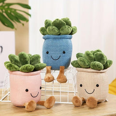 Smiling Face Succulent Plant Dolls Home Office Ornaments