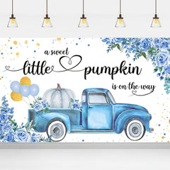 Little Pumpkin Baby Shower Backdrop - It's A Boy!