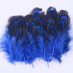 50pcs Natural Pheasant Plumage Feathers for DIY Crafts Clothing Jewelry