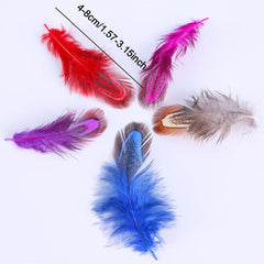 50pcs Natural Pheasant Plumage Feathers for DIY Crafts Clothing Jewelry