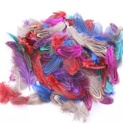 50pcs Natural Pheasant Plumage Feathers for DIY Crafts Clothing Jewelry