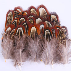 50pcs Natural Pheasant Plumage Feathers for DIY Crafts Clothing Jewelry