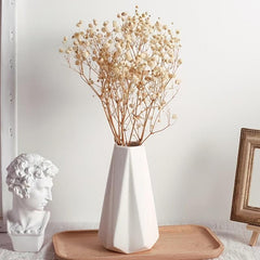 5pcs Ivory Dried Babys Breath Bouquet Natural Fresh Gyp