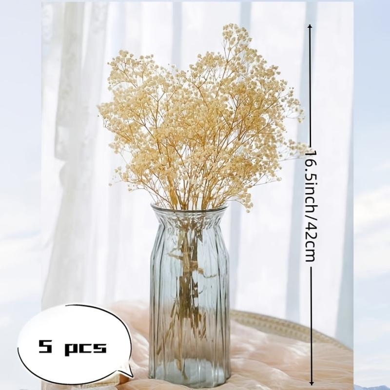 5pcs Ivory Dried Babys Breath Bouquet Natural Fresh Gyp