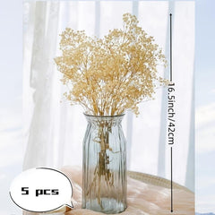 5pcs Ivory Dried Babys Breath Bouquet Natural Fresh Gyp
