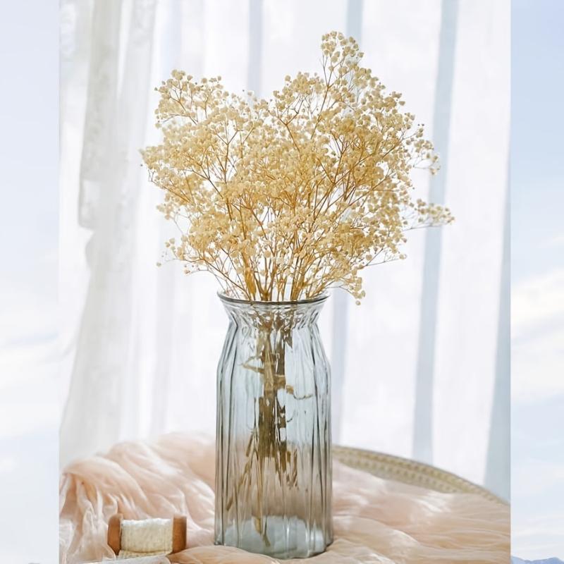 5pcs Ivory Dried Babys Breath Bouquet Natural Fresh Gyp