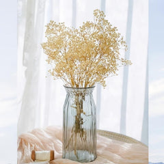 5pcs Ivory Dried Babys Breath Bouquet Natural Fresh Gyp