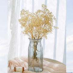 5pcs Ivory Dried Babys Breath Bouquet Natural Fresh Gyp