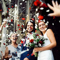 600pcs Rose Petals Wedding Party Flower Decor