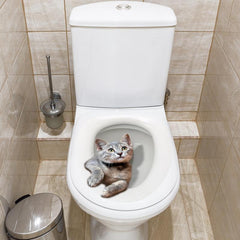 Funny 3D Kitten Toilet Seat Stickers Waterproof Restroom Decals