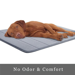 Bathroom Coral Velvet Anti skid Mat Quick Water Absorption