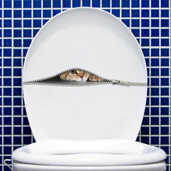 3D Zipper Cat Toilet Sticker Home Wall Decal