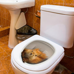 3D Squirrel Toilet Lid Decal Wall Sticker for Bathroom