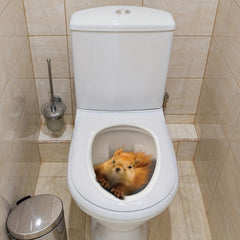 3D Squirrel Toilet Lid Decal Wall Sticker for Bathroom