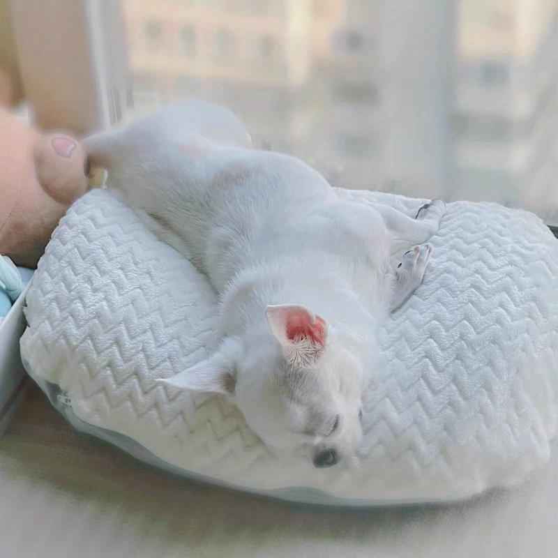 Thickened Dog Mat Winter Warm Blanket Soft Fluffy Sleeping Mat For Cat Dog