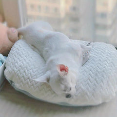 Thickened Dog Mat Winter Warm Blanket Soft Fluffy Sleeping Mat For Cat Dog