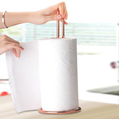 Stainless Steel Paper Towel Holder Bathroom Tissue Stand Storage Shelf