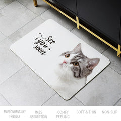Diatom Mud Entrance Rug Quick Dry Absorbent Mat Gray