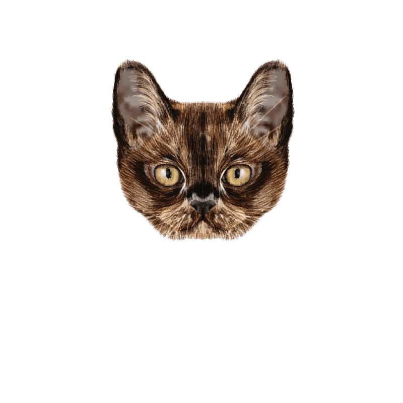 Inspiration Cat Cartoon Wall Sticker Decor Self Adhesive