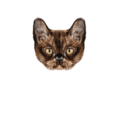 Inspiration Cat Cartoon Wall Sticker Decor Self Adhesive