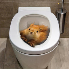 3D Squirrel Pattern Toilet Lid Decal Self Adhesive Sticker Bathroom Decor