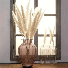 45pcs Natural Dry Pampas Grass Branches Home Decoration
