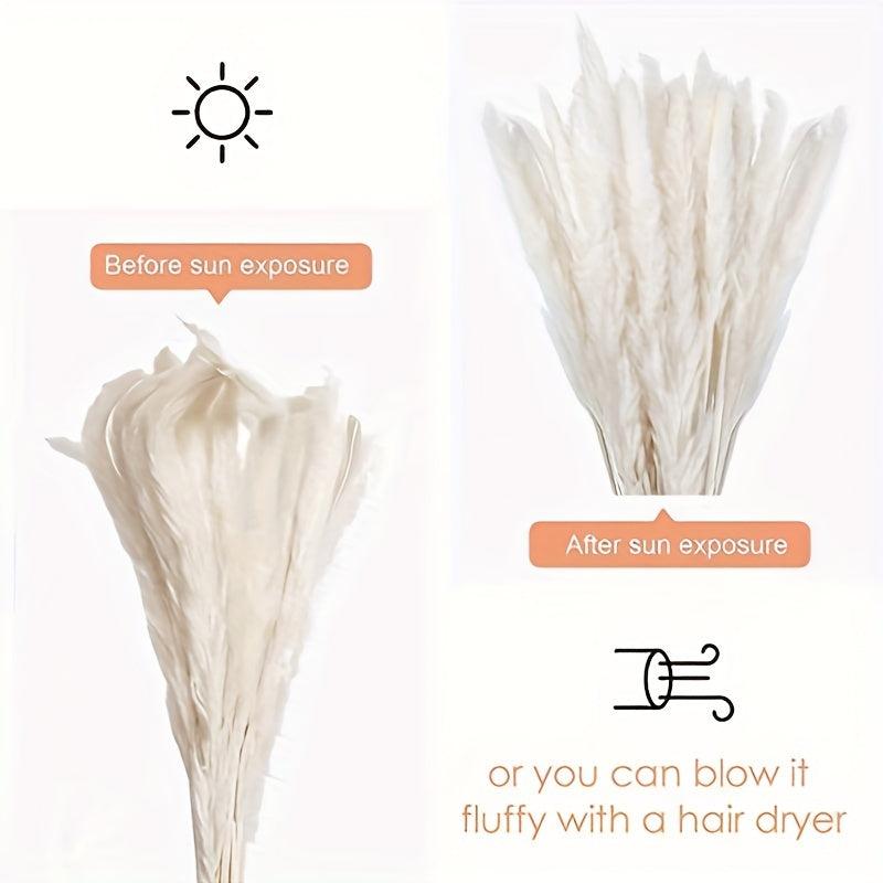 45pcs Natural Dry Pampas Grass Branches Home Decoration