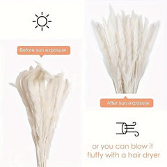 45pcs Natural Dry Pampas Grass Branches Home Decoration