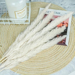 45pcs Natural Dry Pampas Grass Branches Home Decoration