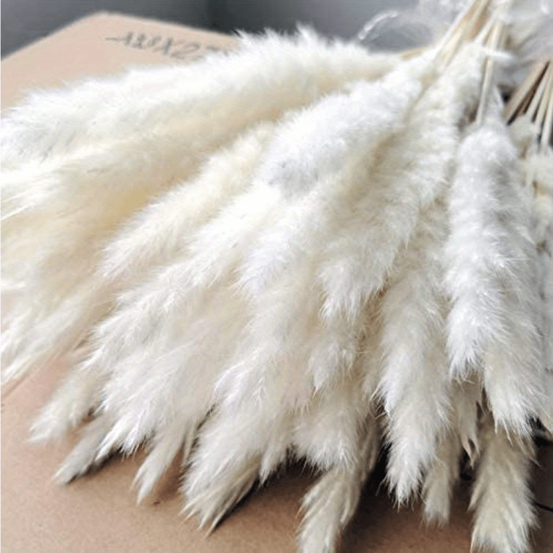 45pcs Natural Dry Pampas Grass Branches Home Decoration