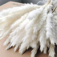 45pcs Natural Dry Pampas Grass Branches Home Decoration