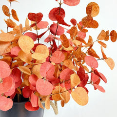 6pcs Artificial Eucalyptus Stems for Farmhouse Home Table Thanksgiving Decor