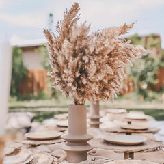 25pcs 43-94cm Tall Fluffy Pampas Grass XL Brown Dry Pampas Grass Decor