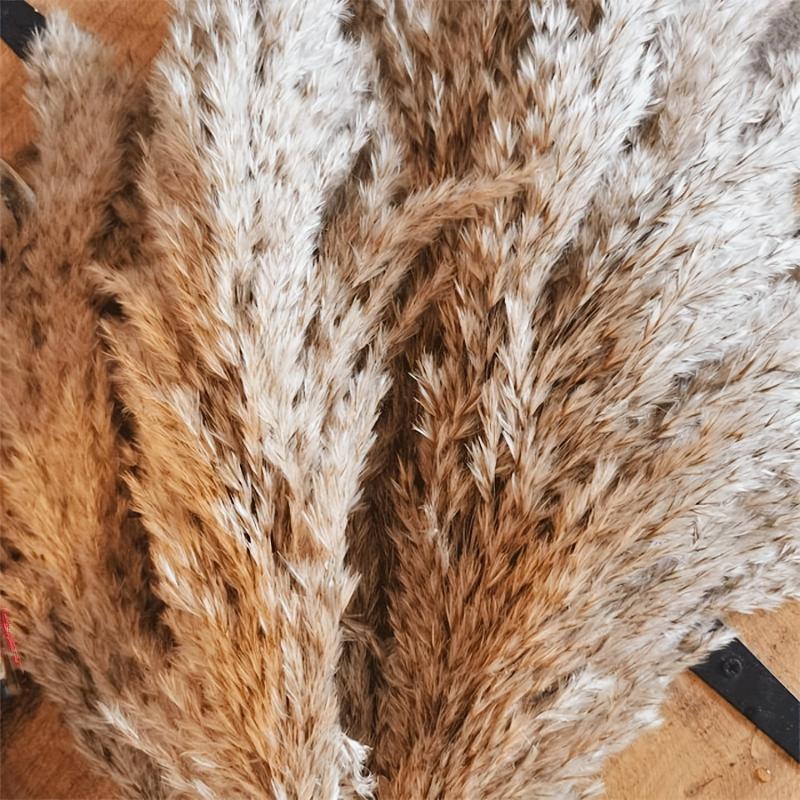 25pcs 43-94cm Tall Fluffy Pampas Grass XL Brown Dry Pampas Grass Decor