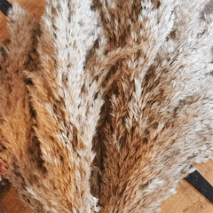 25pcs 43-94cm Tall Fluffy Pampas Grass XL Brown Dry Pampas Grass Decor