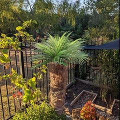 Tropical Palm Leaf Decor Set for Outdoor Parties