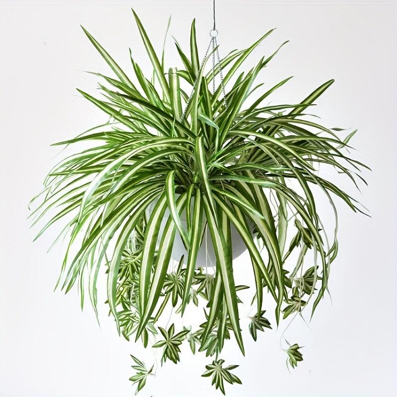 Artificial Chlorophytum Plant Hanging Basket Green Leaves Home Office