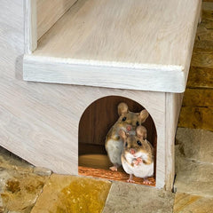 Funny Mouse Cave Wall Sticker Cartoon Animal Sticker DIY Decor