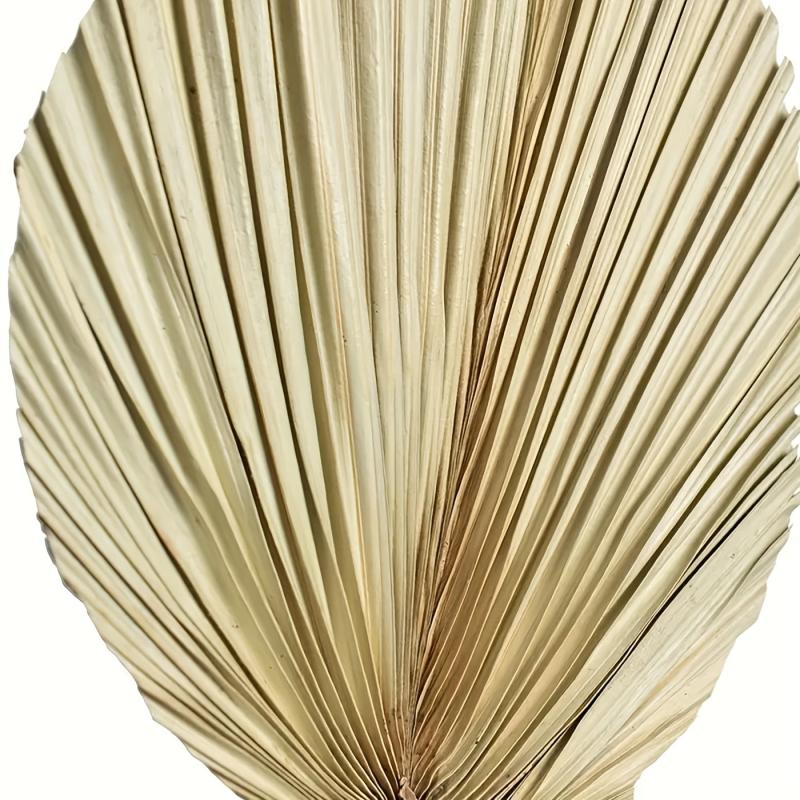 2pcs Boho Natural Dried Palm Leaves for Weddings, Parties, Home Decor 20x40cm