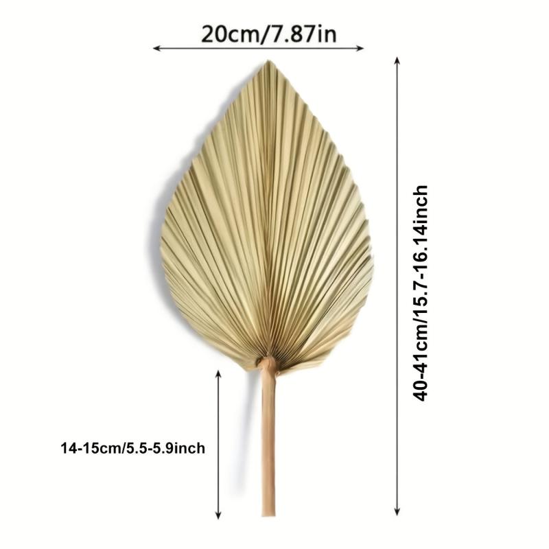 2pcs Boho Natural Dried Palm Leaves for Weddings, Parties, Home Decor 20x40cm