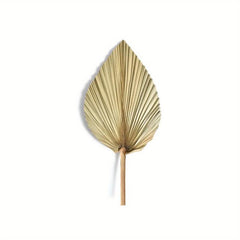 2pcs Boho Natural Dried Palm Leaves for Weddings, Parties, Home Decor 20x40cm