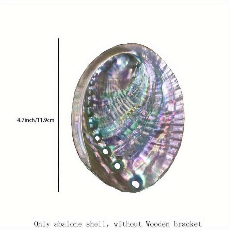 Natural Abalone Shell with Wooden Stand for Smudging and Cleansing